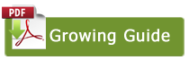 button-growingguide